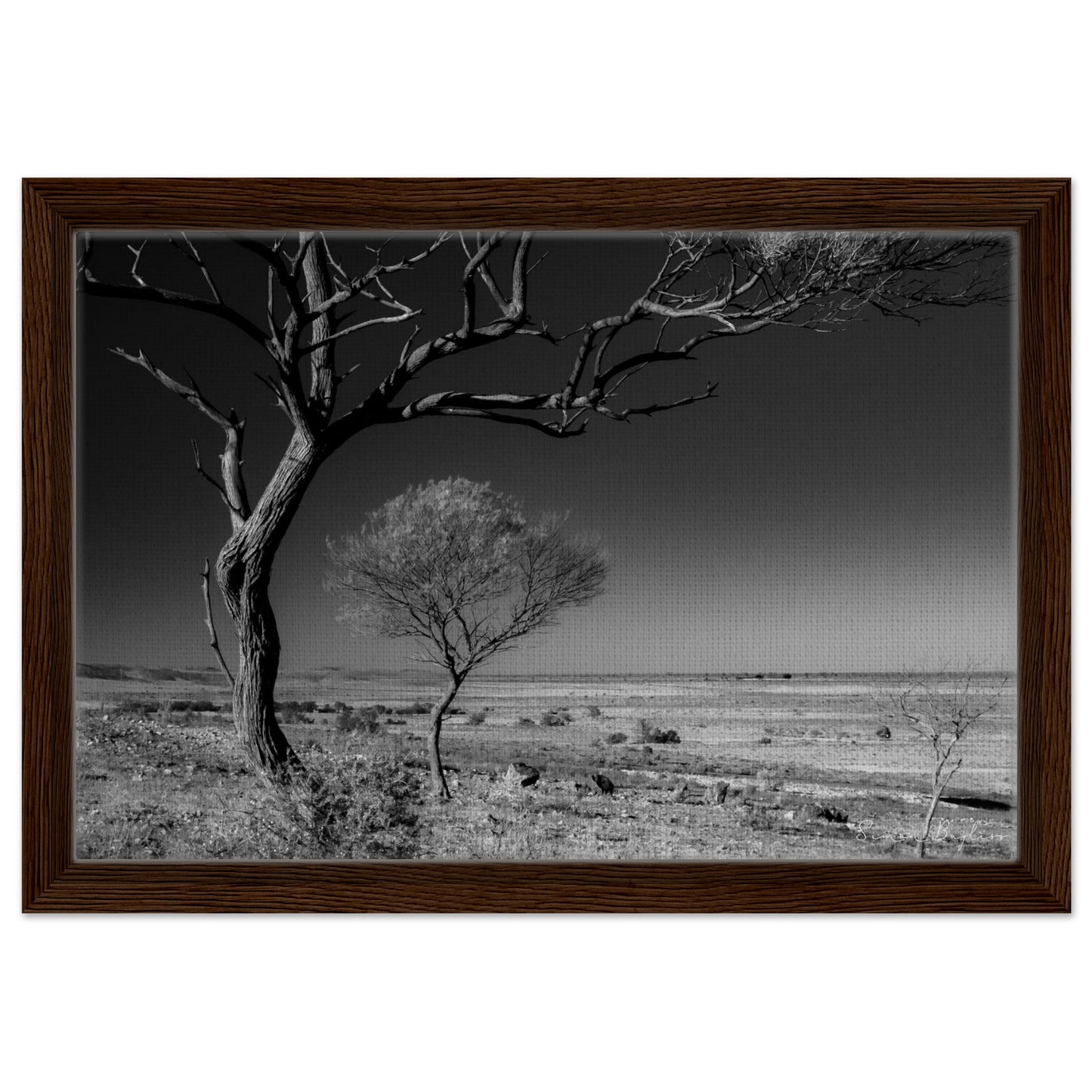 60fa13de-5845-4d7e-9501-a0dfc7b7bc4e