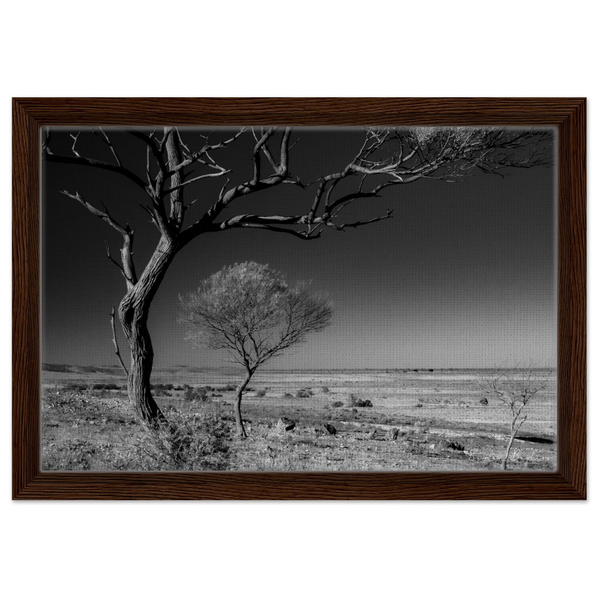 60fa13de-5845-4d7e-9501-a0dfc7b7bc4e