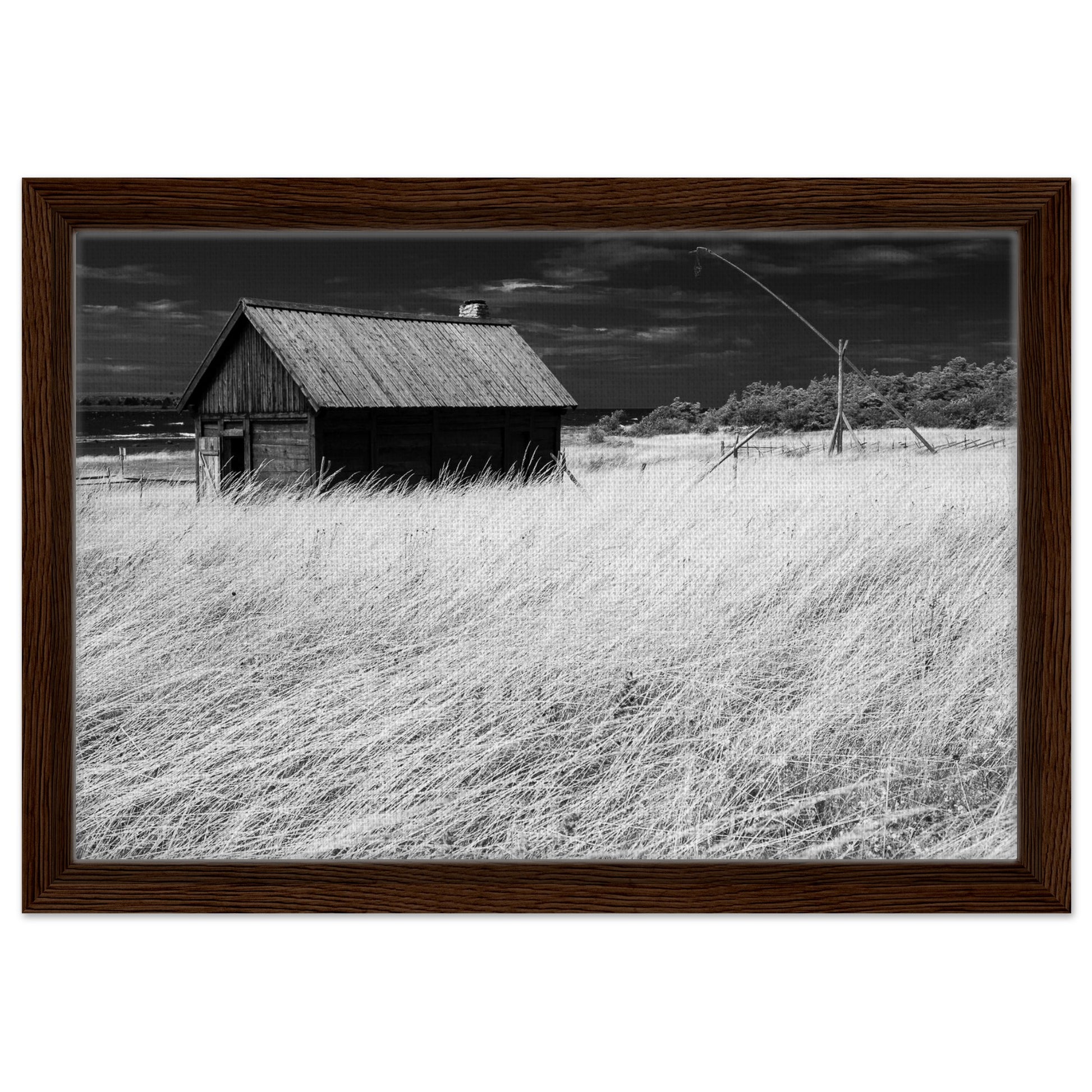 60ff96d2-6477-45df-994c-dbcf91c6e422