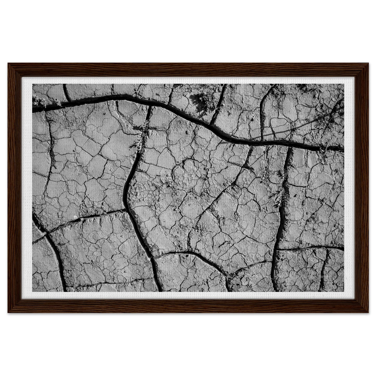 6107c5fd-5952-4022-88f2-d2bc6c1aaca1