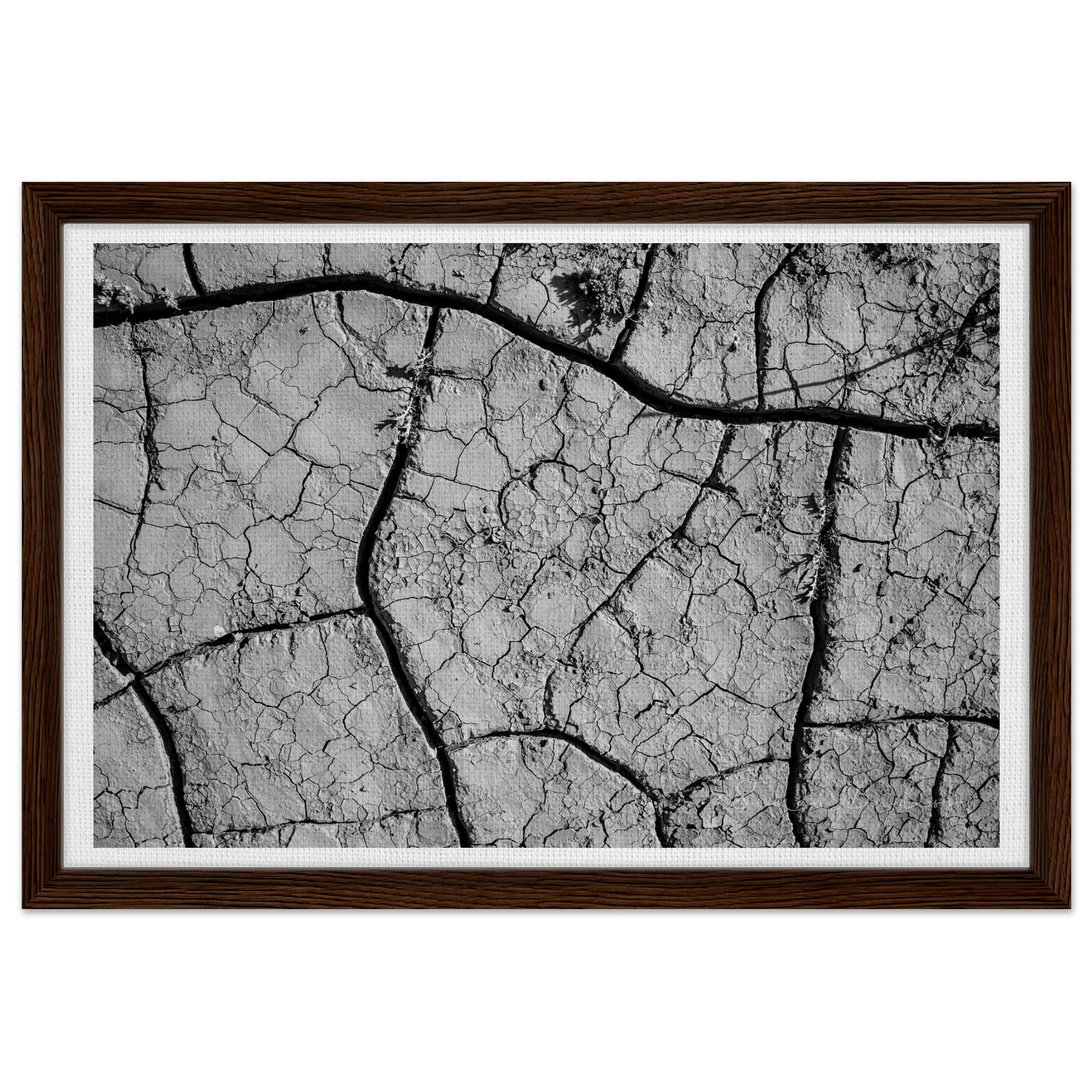 6107c5fd-5952-4022-88f2-d2bc6c1aaca1