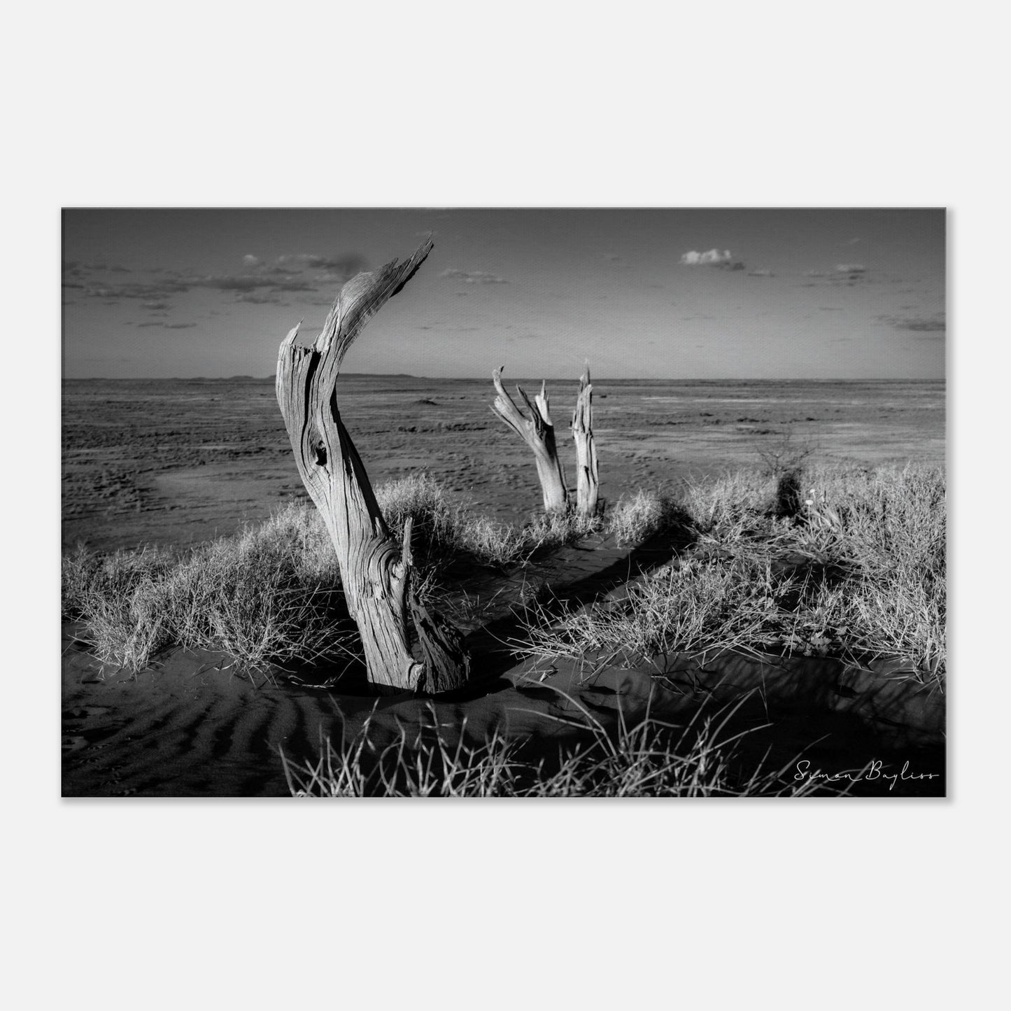 6123a603-5a3e-4bd1-87d3-4bdb2b91988d