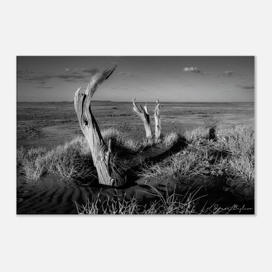 6123a603-5a3e-4bd1-87d3-4bdb2b91988d