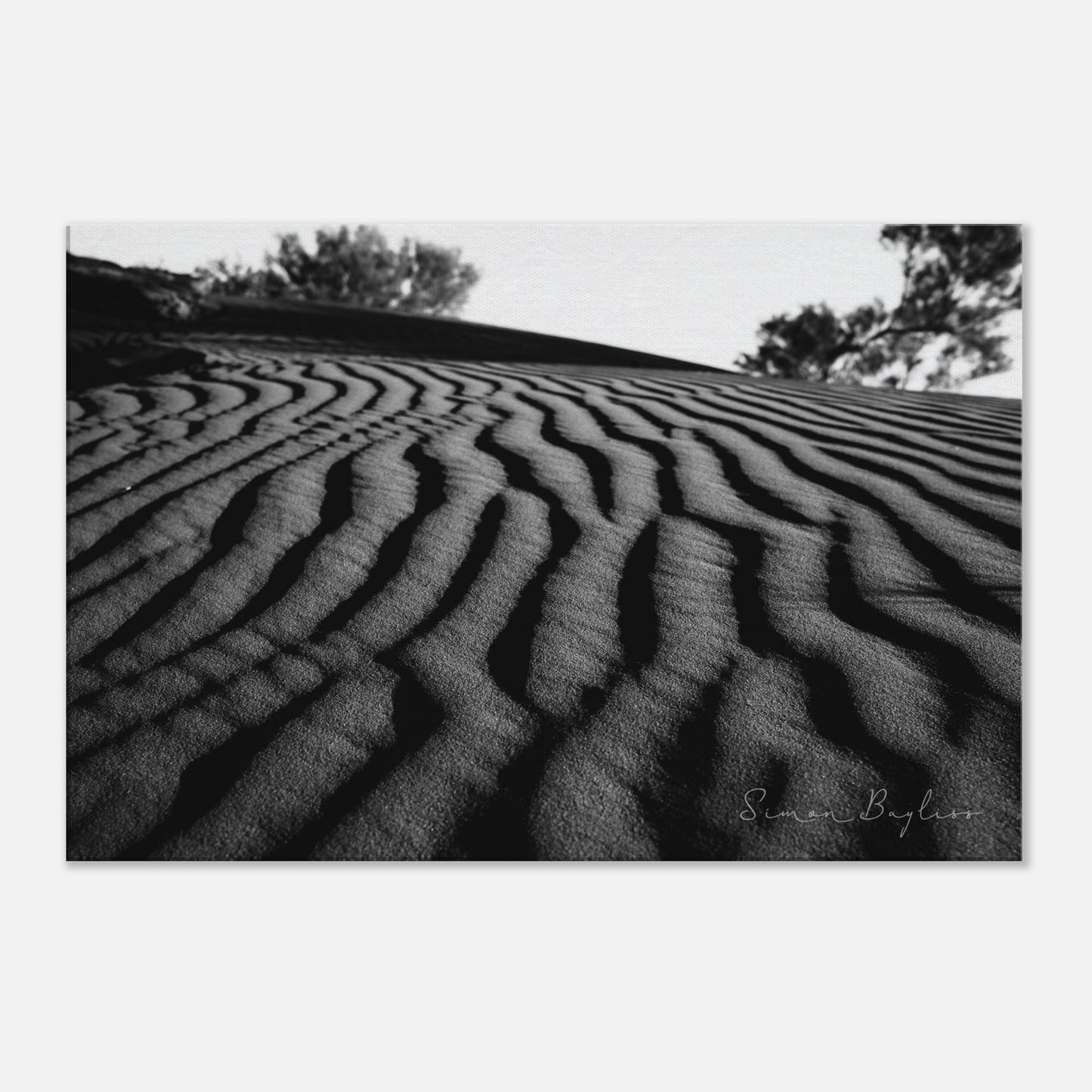 613cb813-fd6f-4eb0-9ae5-a15a067823f7