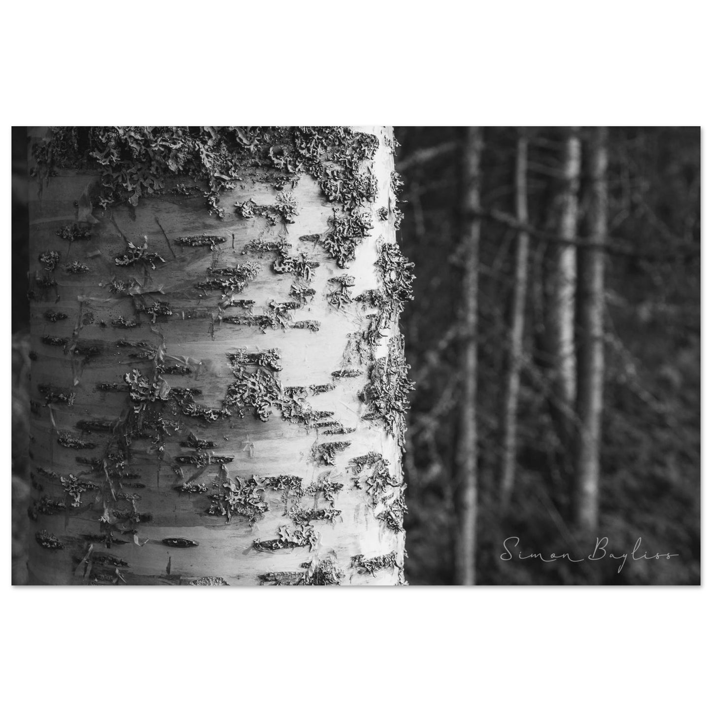 61471ee3-8a9b-496e-b1fa-2ff91f155175