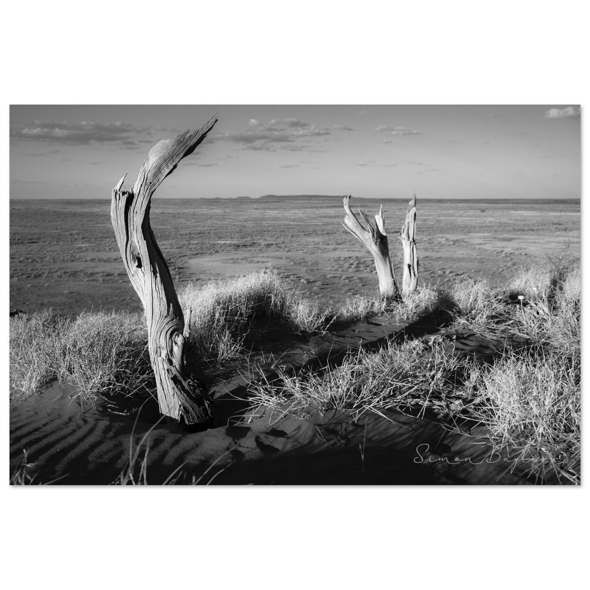 61b5f369-a25c-467c-8408-a8663d29d257