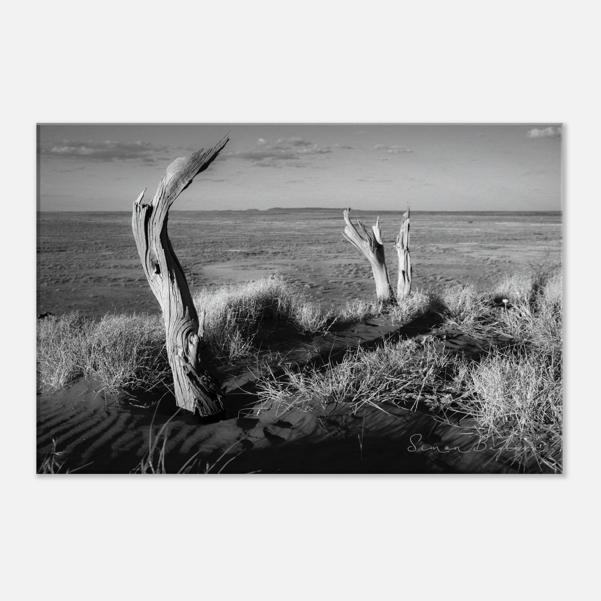 62548169-3f10-4467-b132-b6b06754a5bc