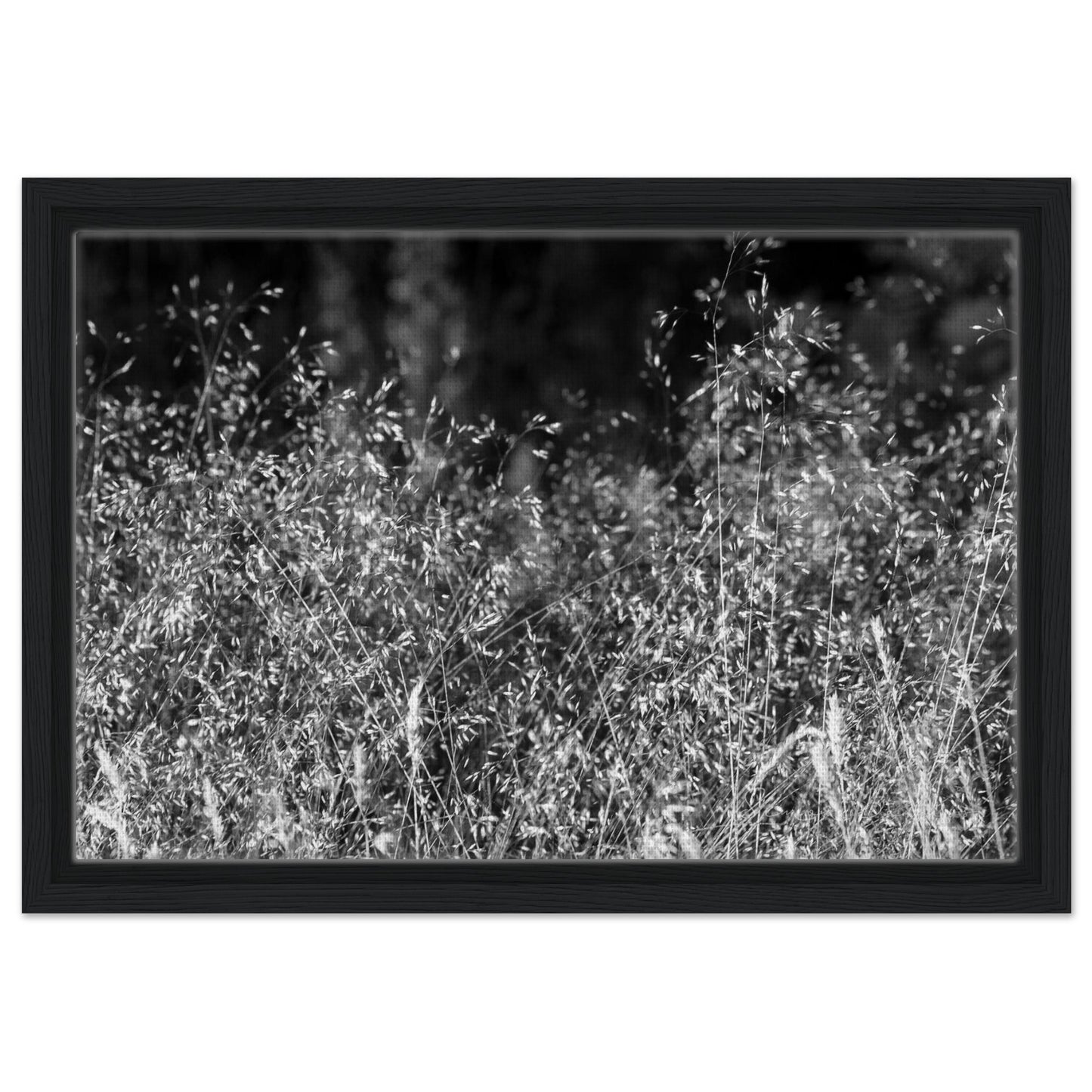 62a945d2-4167-4443-ad8a-a6a954711771