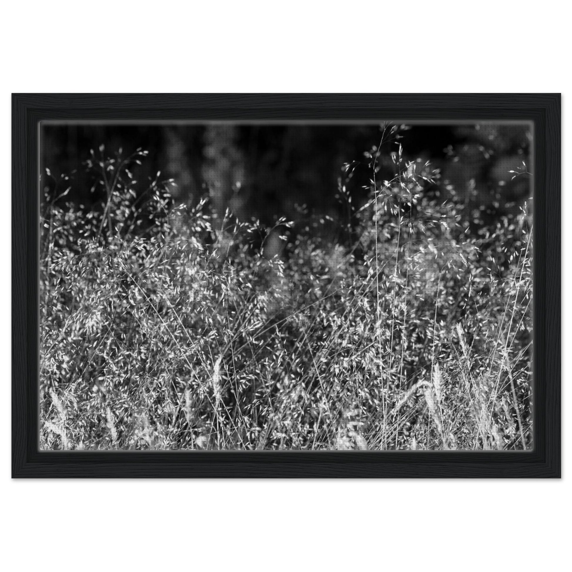 62a945d2-4167-4443-ad8a-a6a954711771