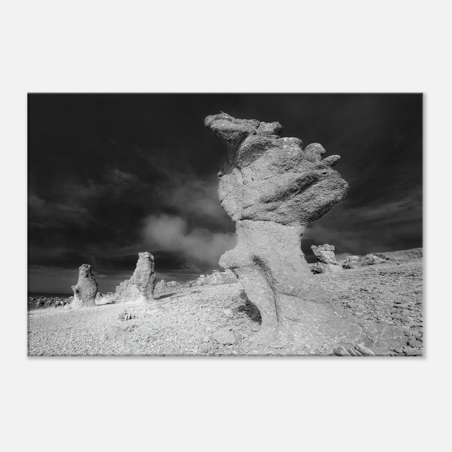 6340c7a2-7d73-4b5b-8629-453346463ab8