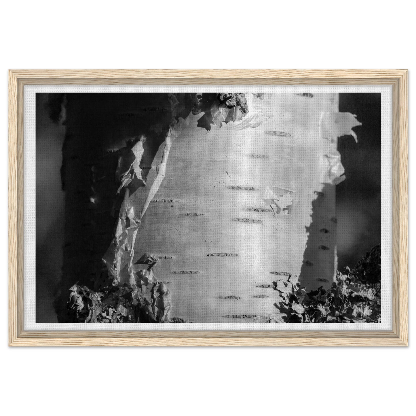 648de1fe-aa77-42a9-9fde-092fc2cac2a8