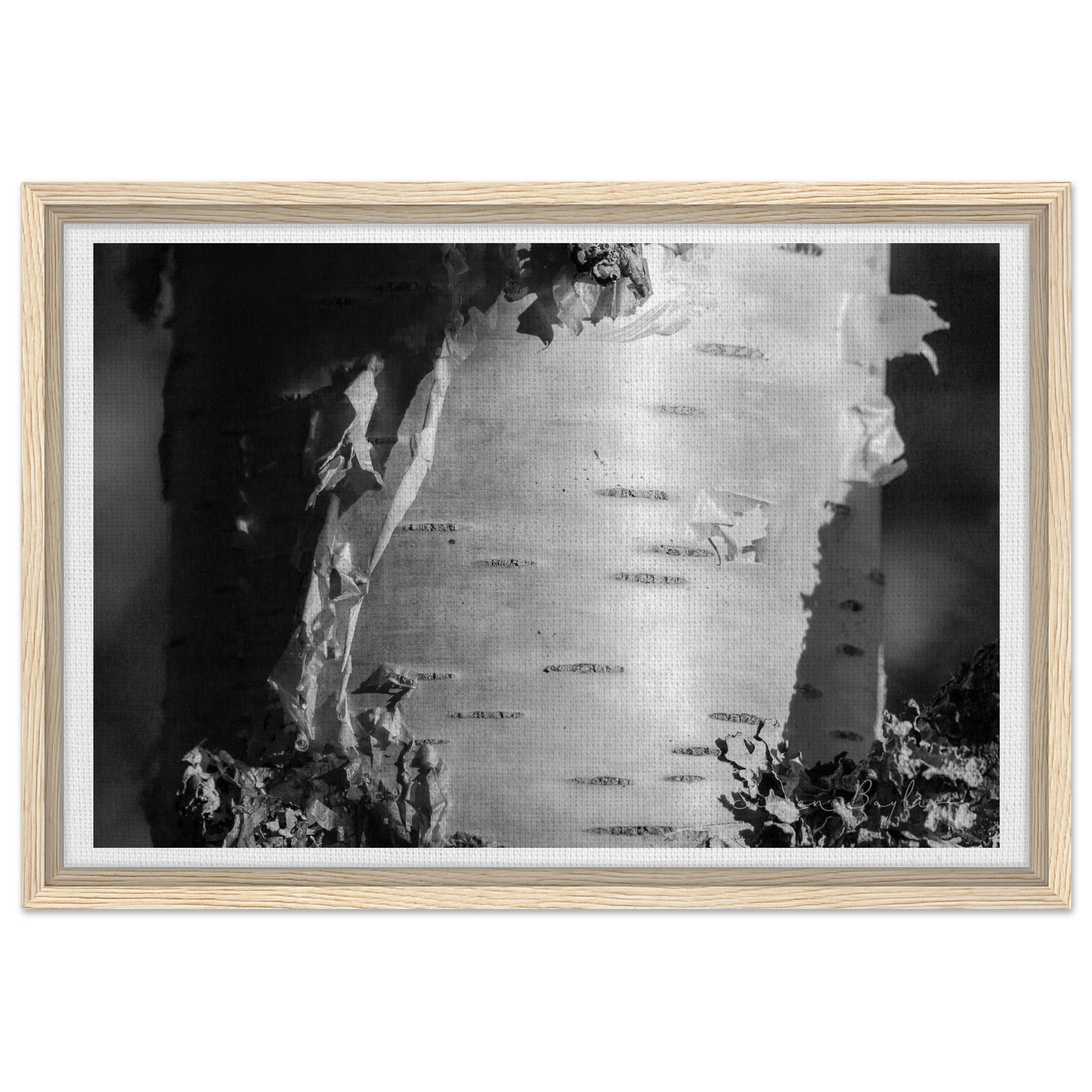 648de1fe-aa77-42a9-9fde-092fc2cac2a8