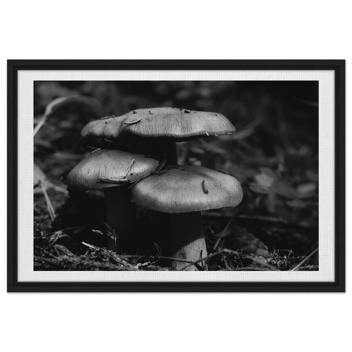 64944596-969f-4d5a-9223-55c6617777c1