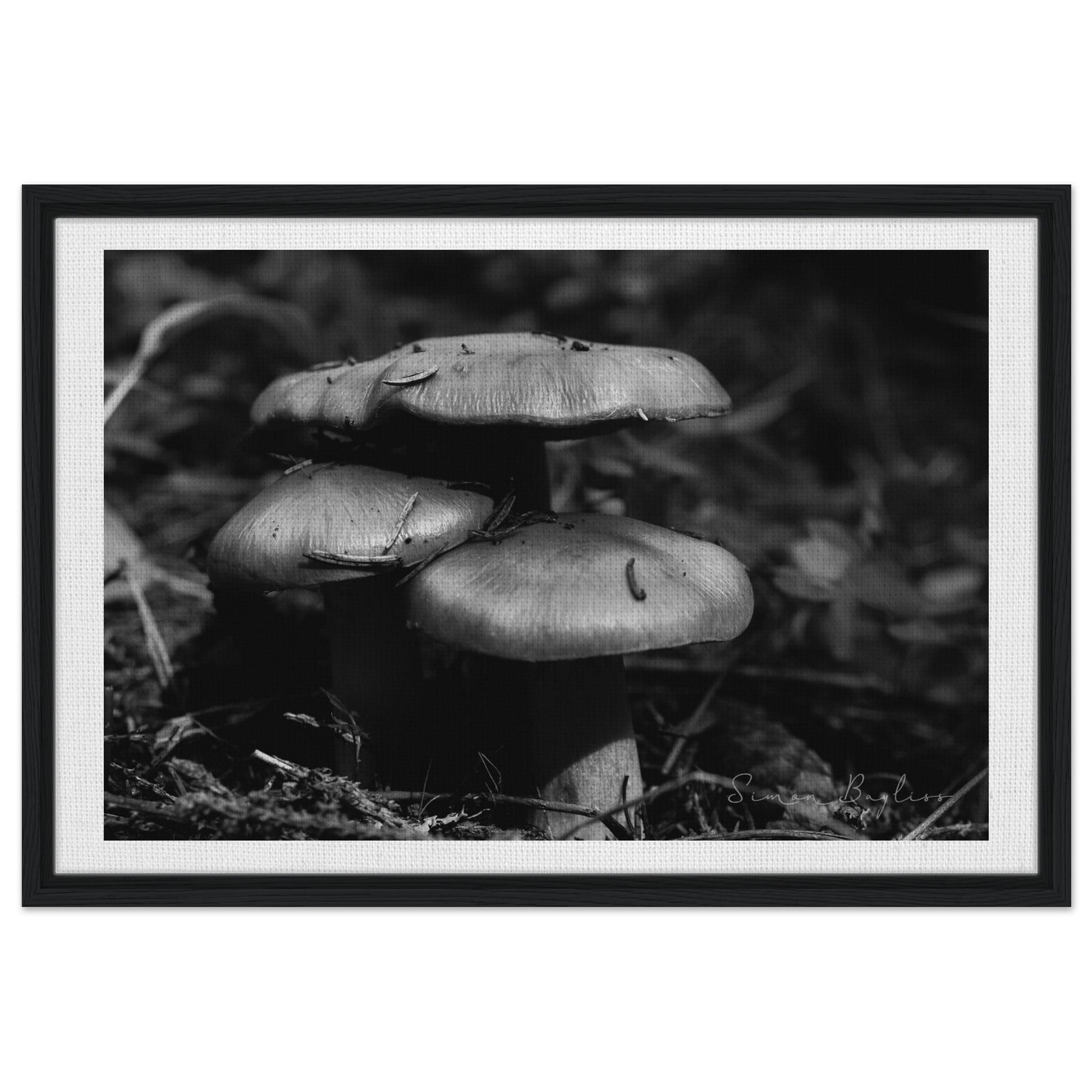 64944596-969f-4d5a-9223-55c6617777c1