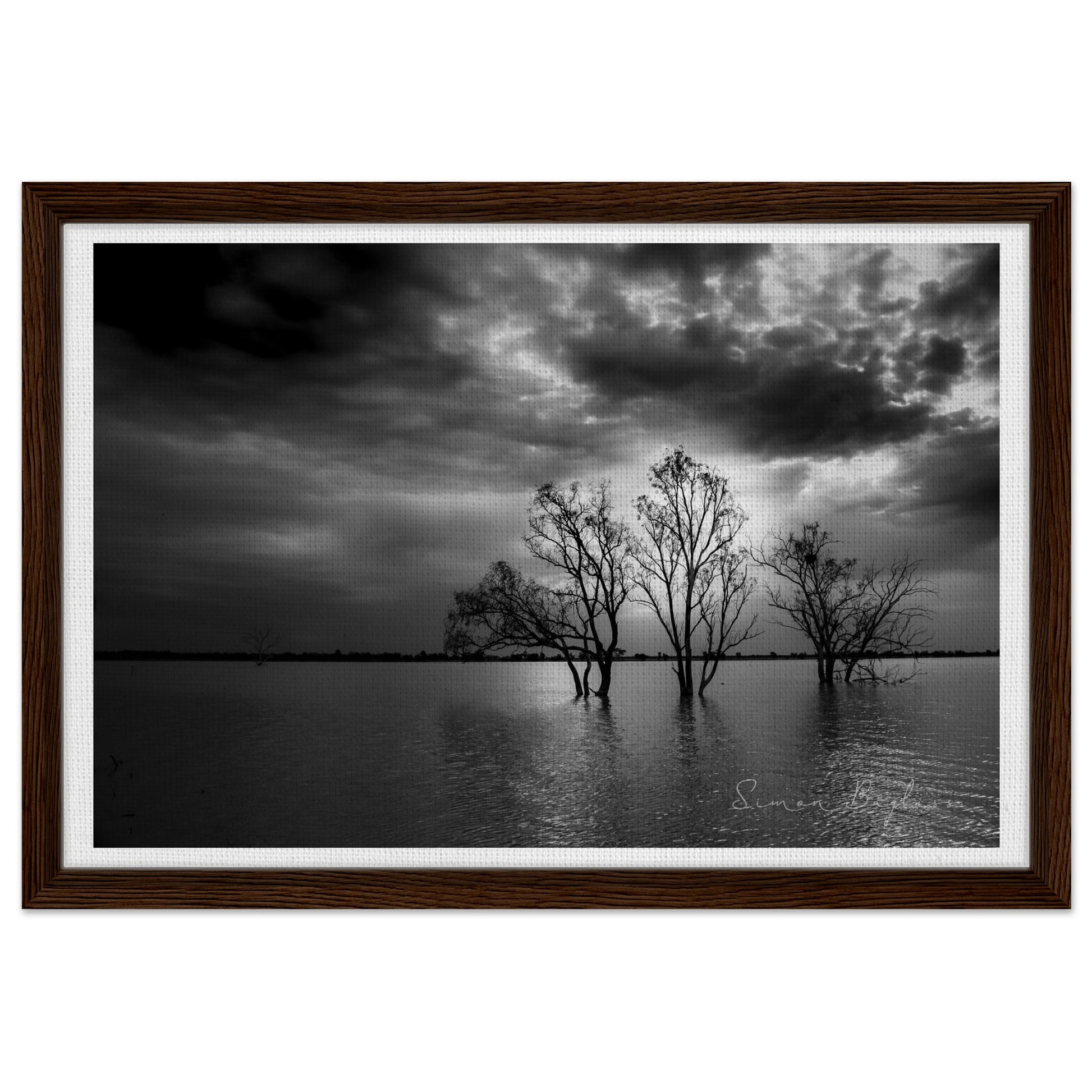 64954e1b-cbb4-4ec8-926b-78f68a654f24