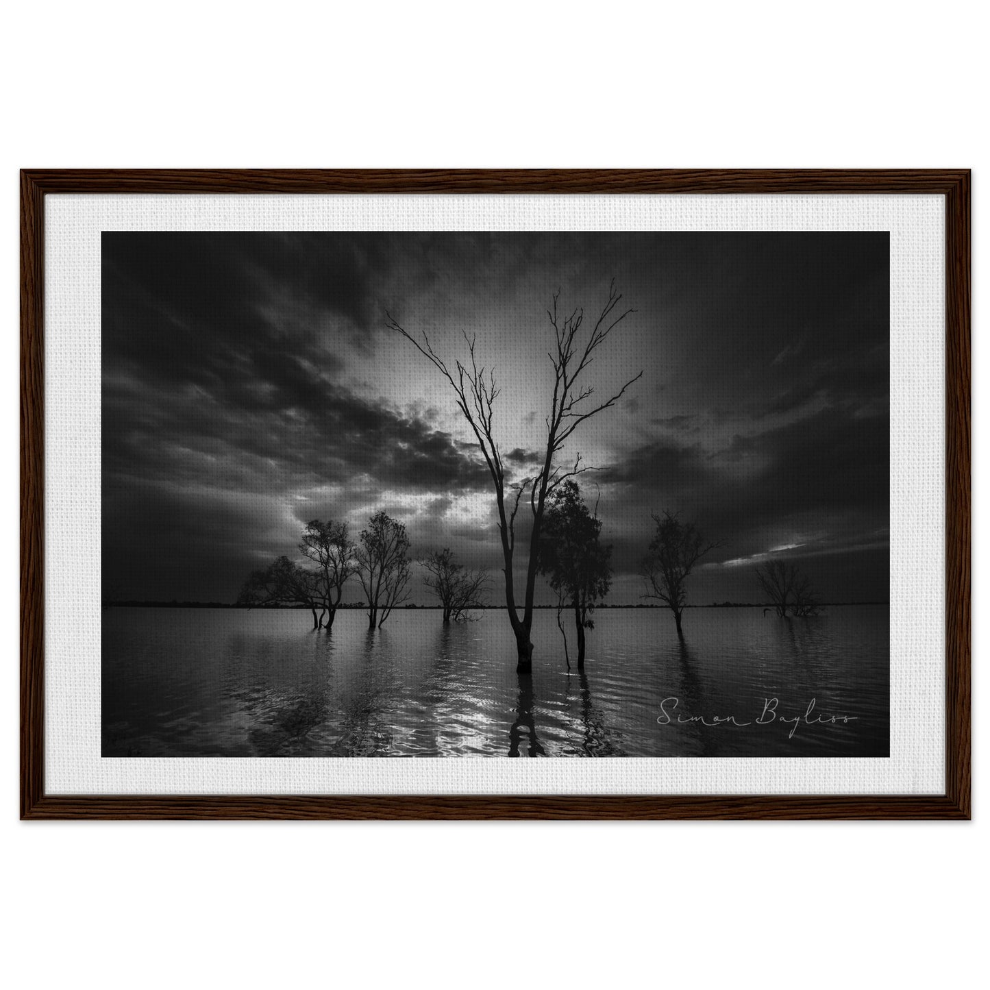 650d04f1-6f63-4630-b6c9-d406753a950e