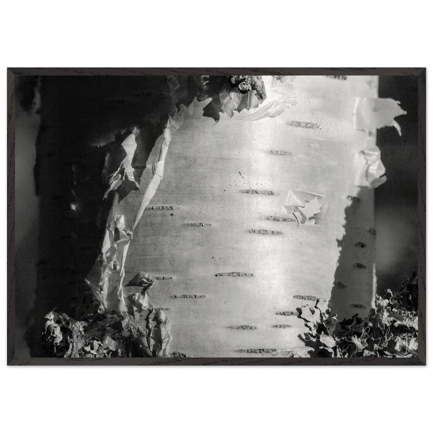 6552919f-5ca6-47c8-a060-659bb0161b27