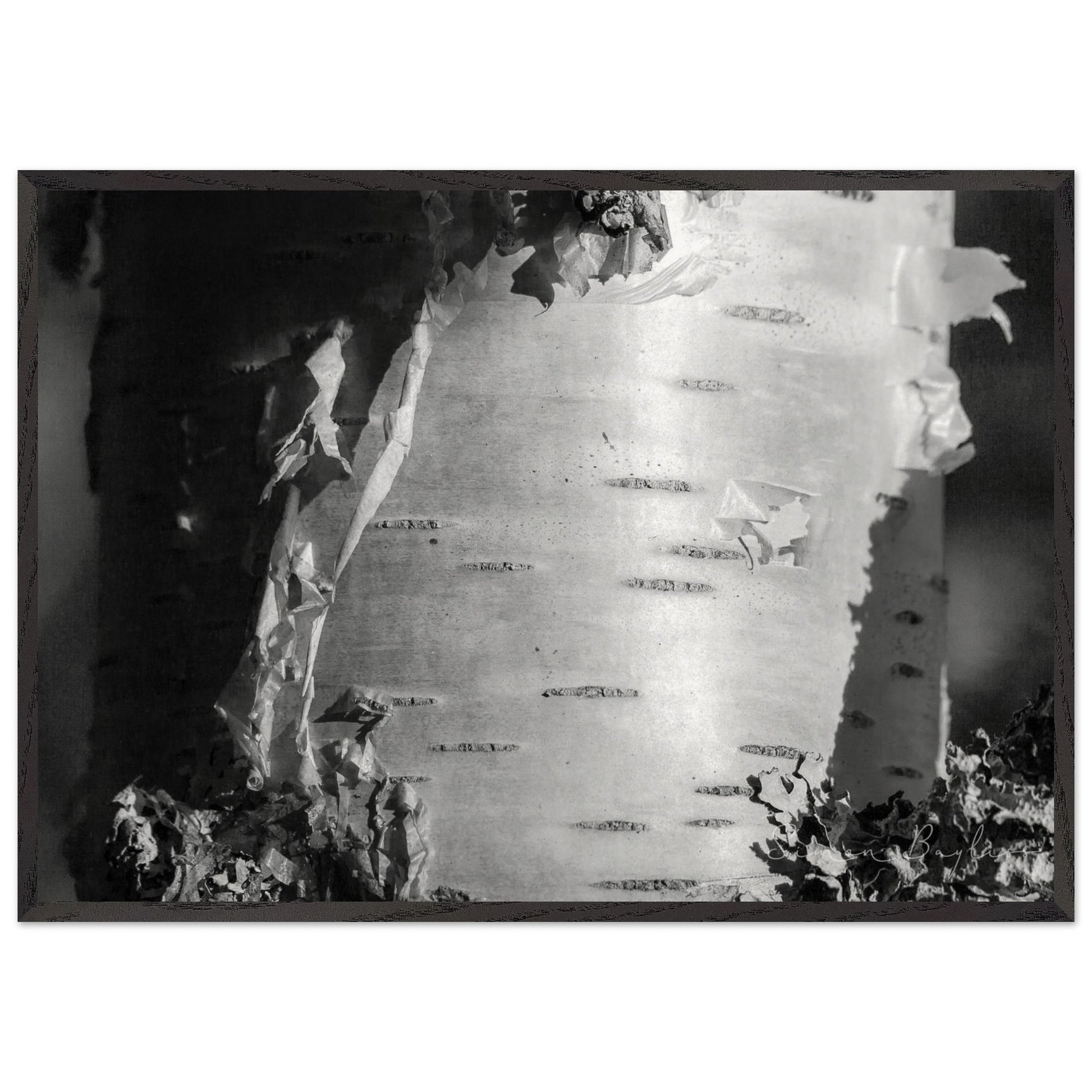 6552919f-5ca6-47c8-a060-659bb0161b27