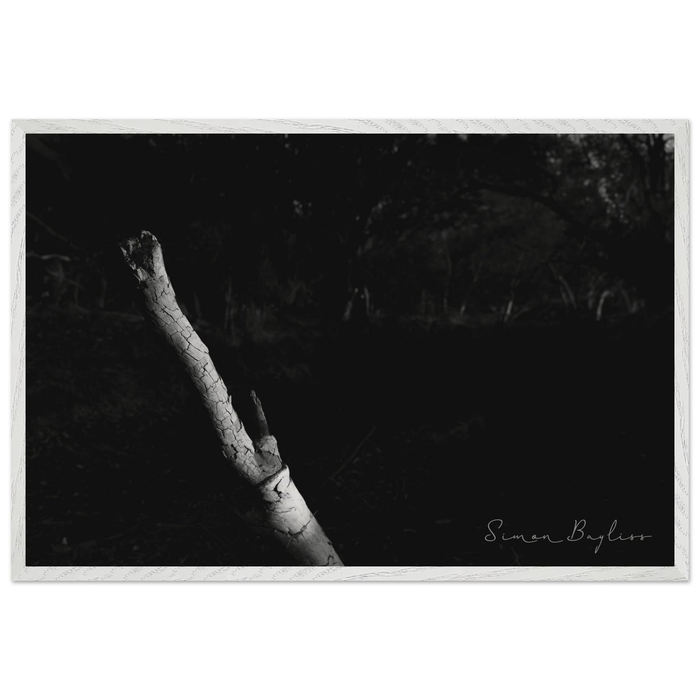 6560f755-306c-4a90-9191-6c5778ffd6c4