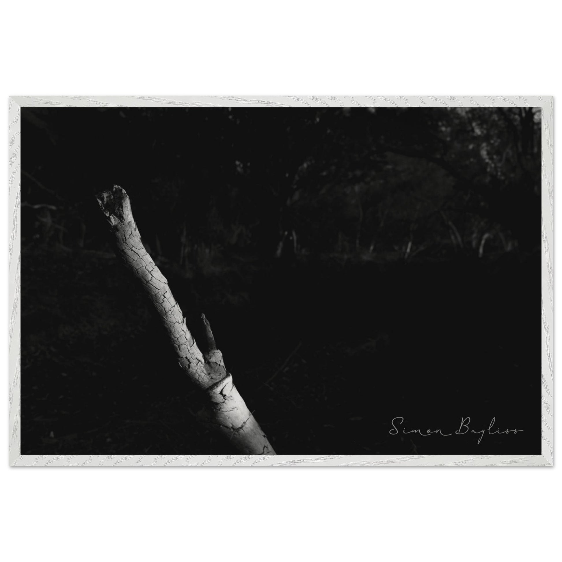 6560f755-306c-4a90-9191-6c5778ffd6c4