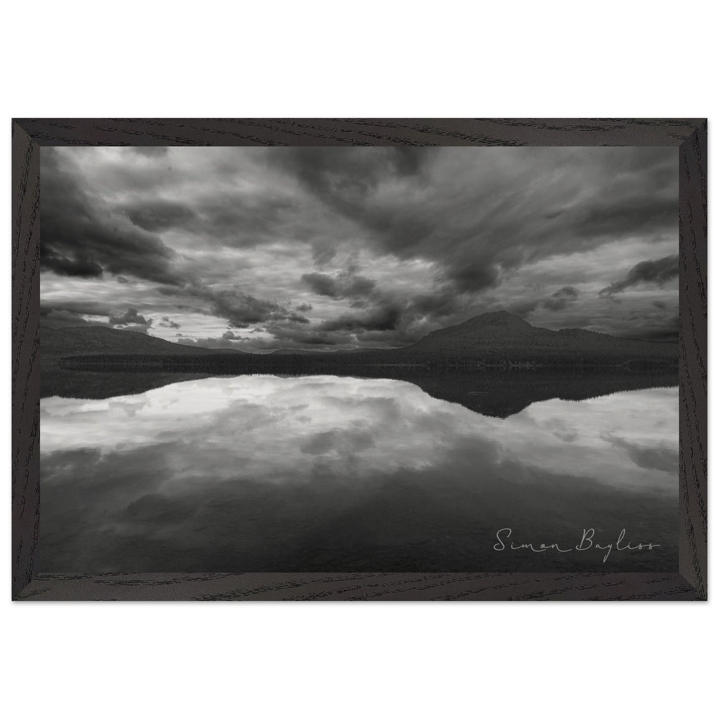 6619545a-645a-488a-9722-883f287d8751