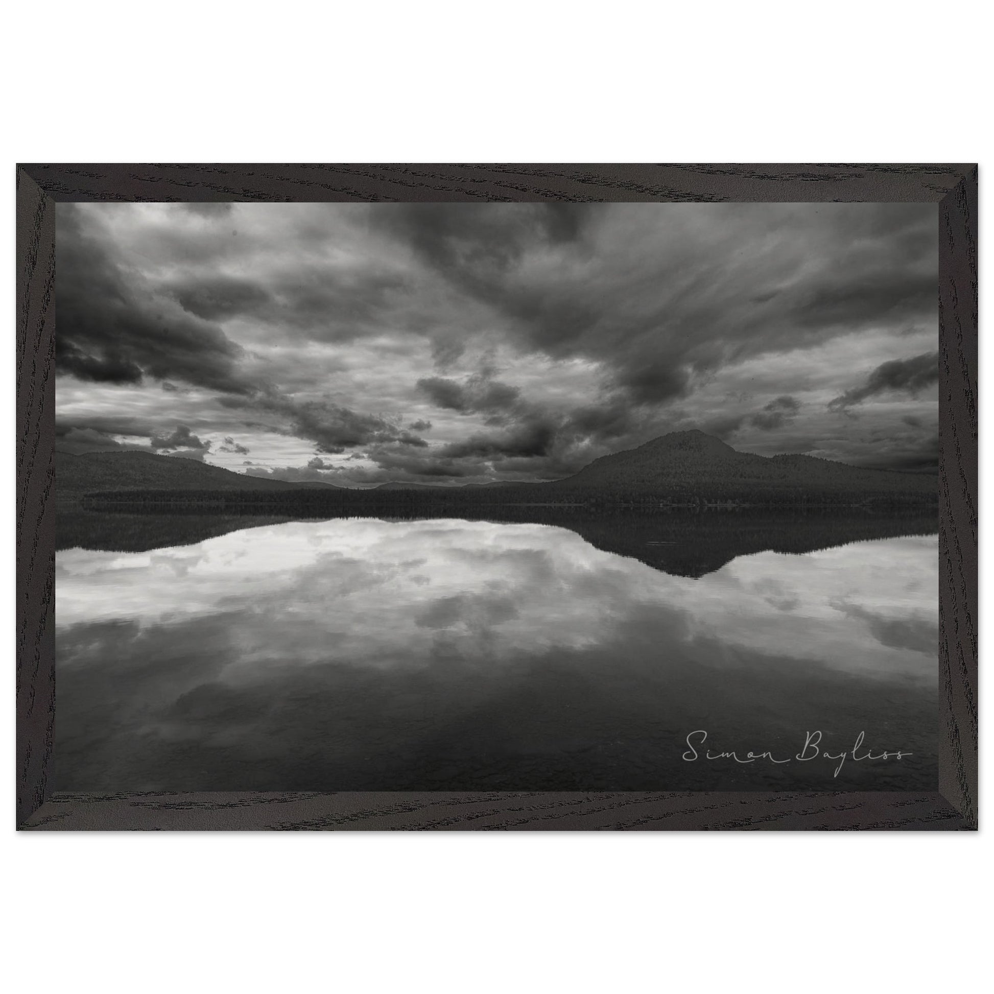 6619545a-645a-488a-9722-883f287d8751