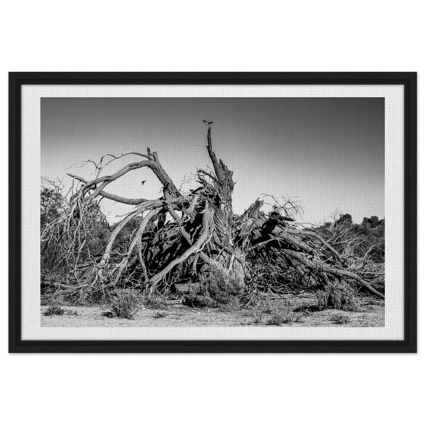 66442f04-f728-42a3-81d6-636f12b4cfa2