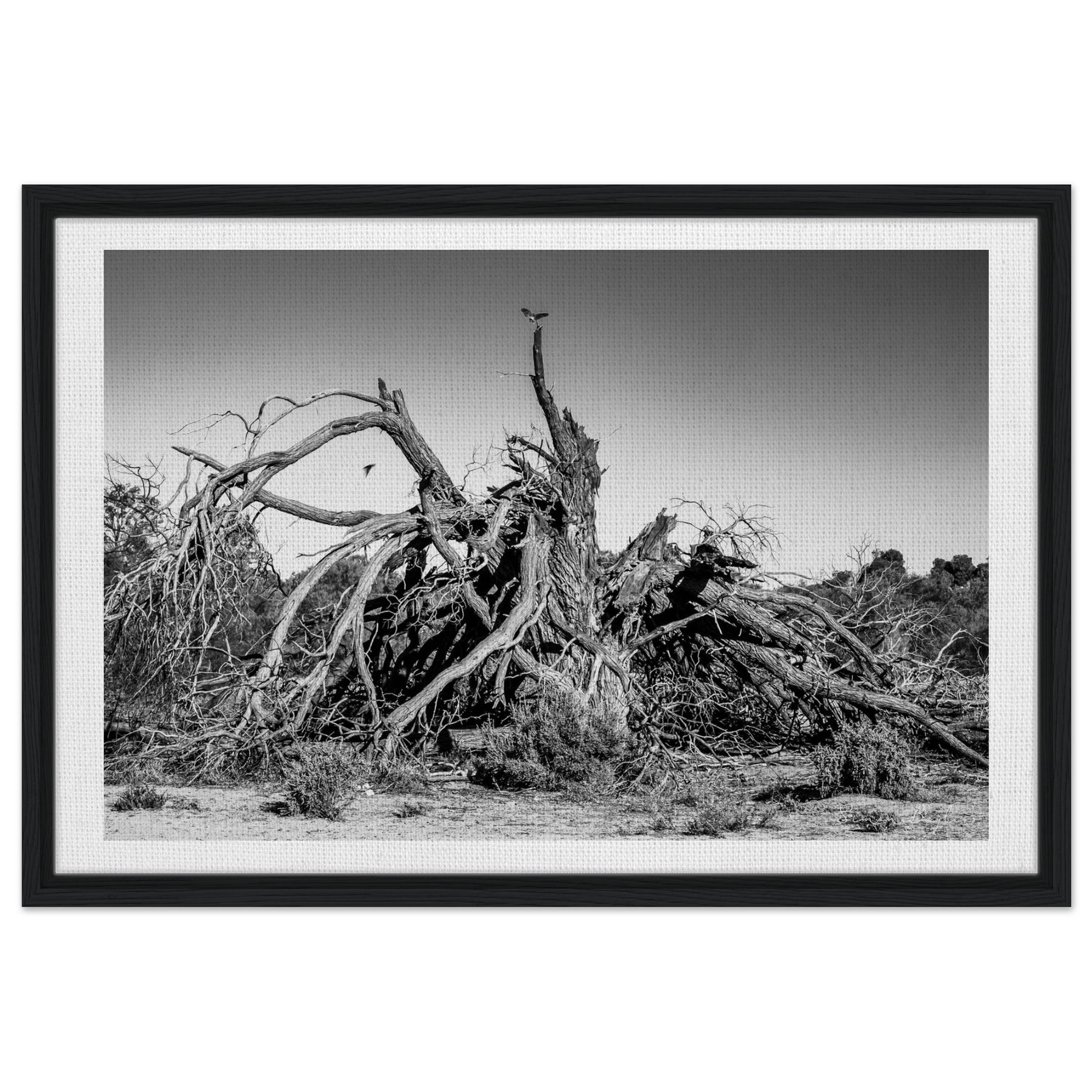 66442f04-f728-42a3-81d6-636f12b4cfa2