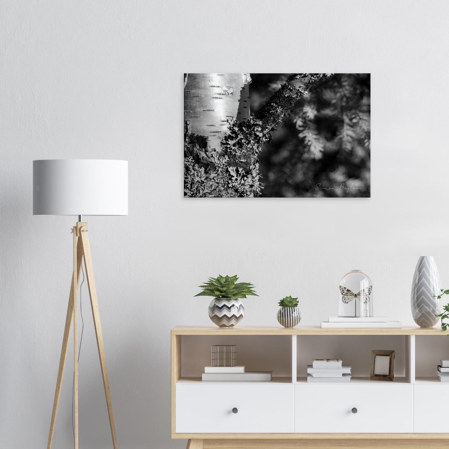 670c9d50-5fc4-4faa-a81d-8bd1b2776264