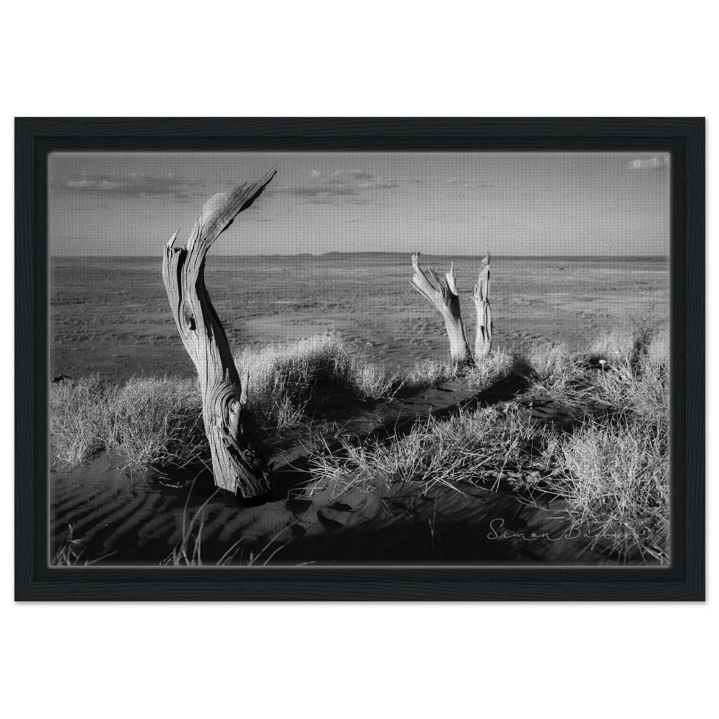 6758afb7-4a1f-481d-9576-b82f2bd48a12