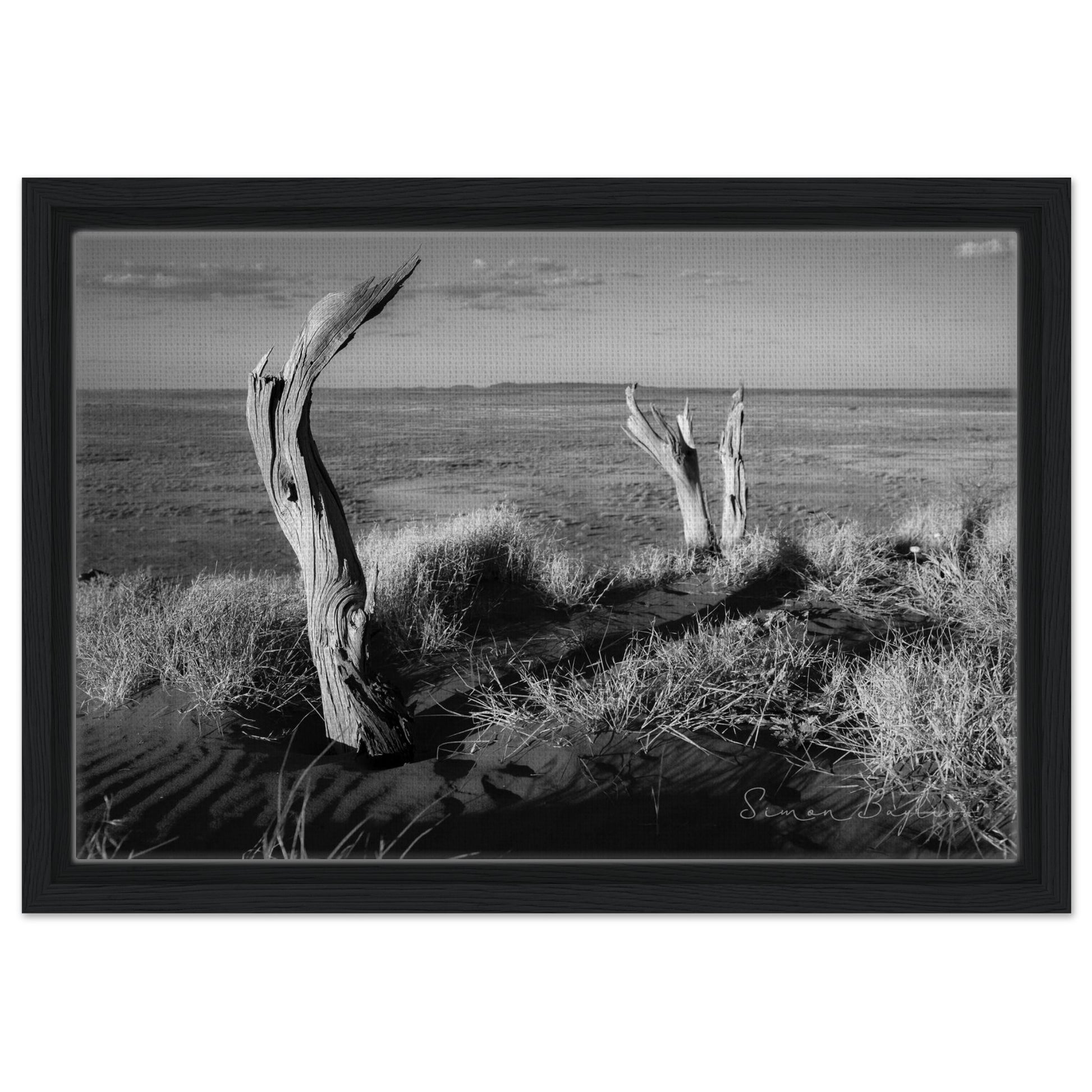 6758afb7-4a1f-481d-9576-b82f2bd48a12