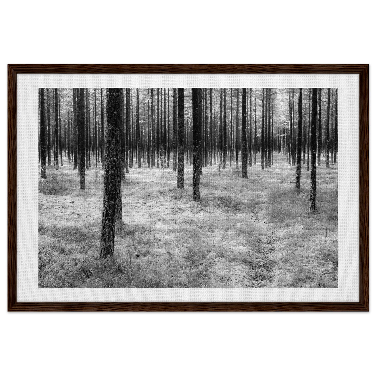 675d97f6-1994-468f-9d8c-d09174e862c7