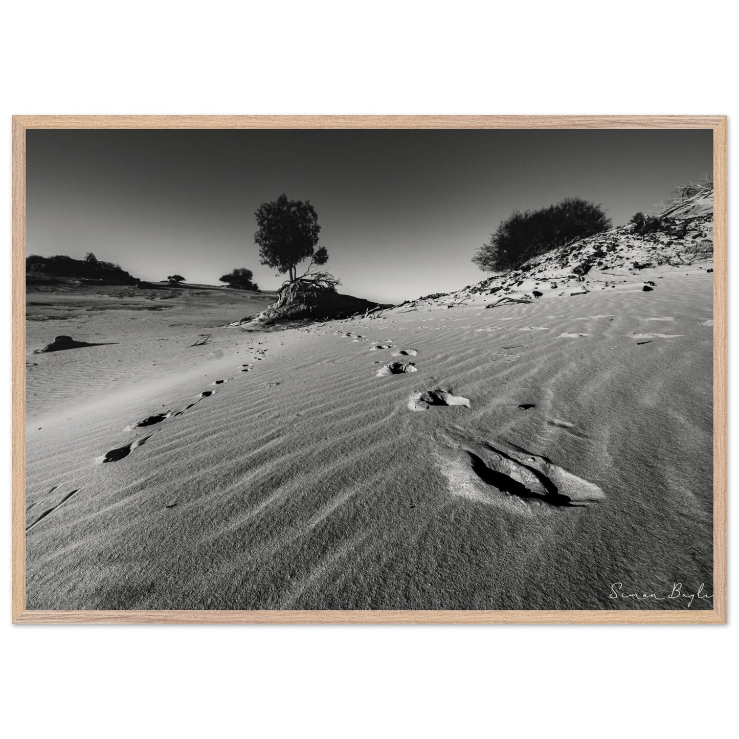 67dcfcc5-6c88-474f-992b-37a1ecd5f28e