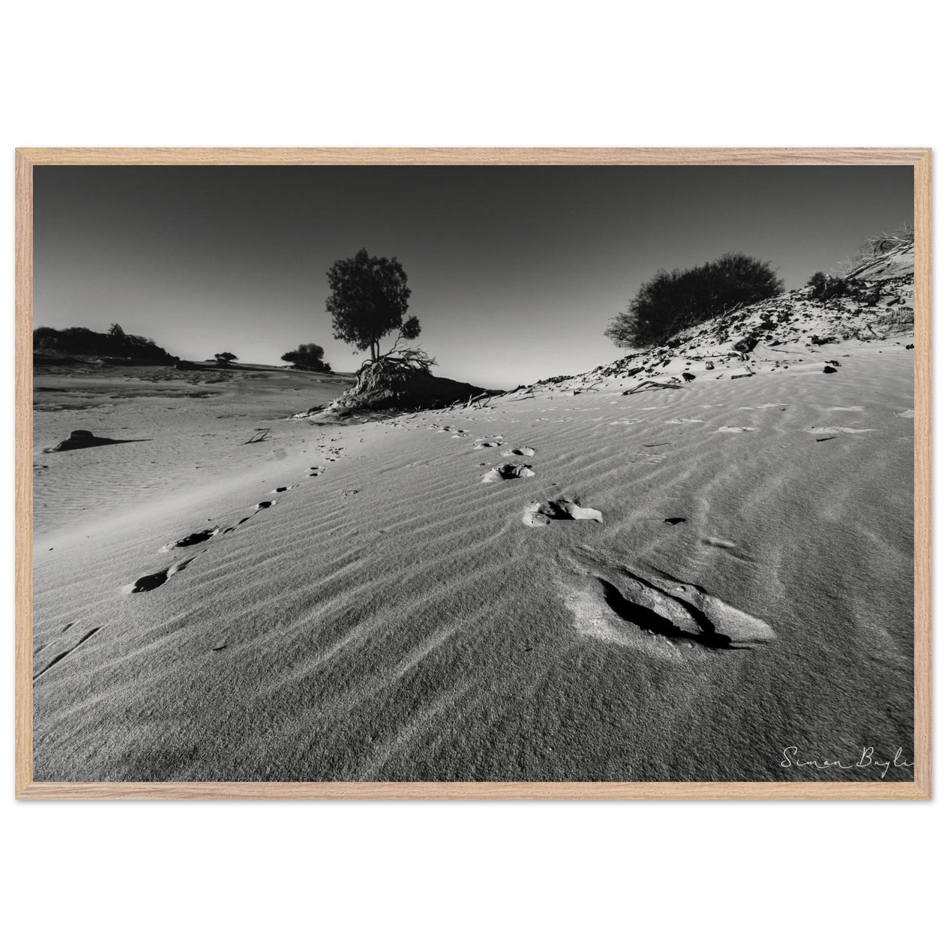 67dcfcc5-6c88-474f-992b-37a1ecd5f28e