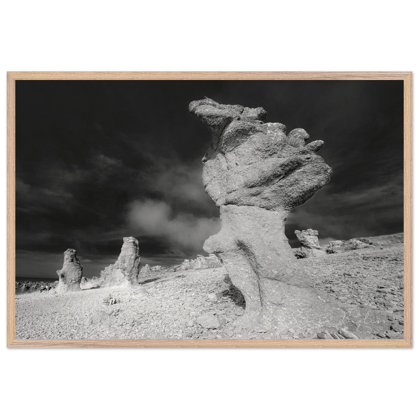 681ec55a-731a-46f9-8295-a7ab123f2150