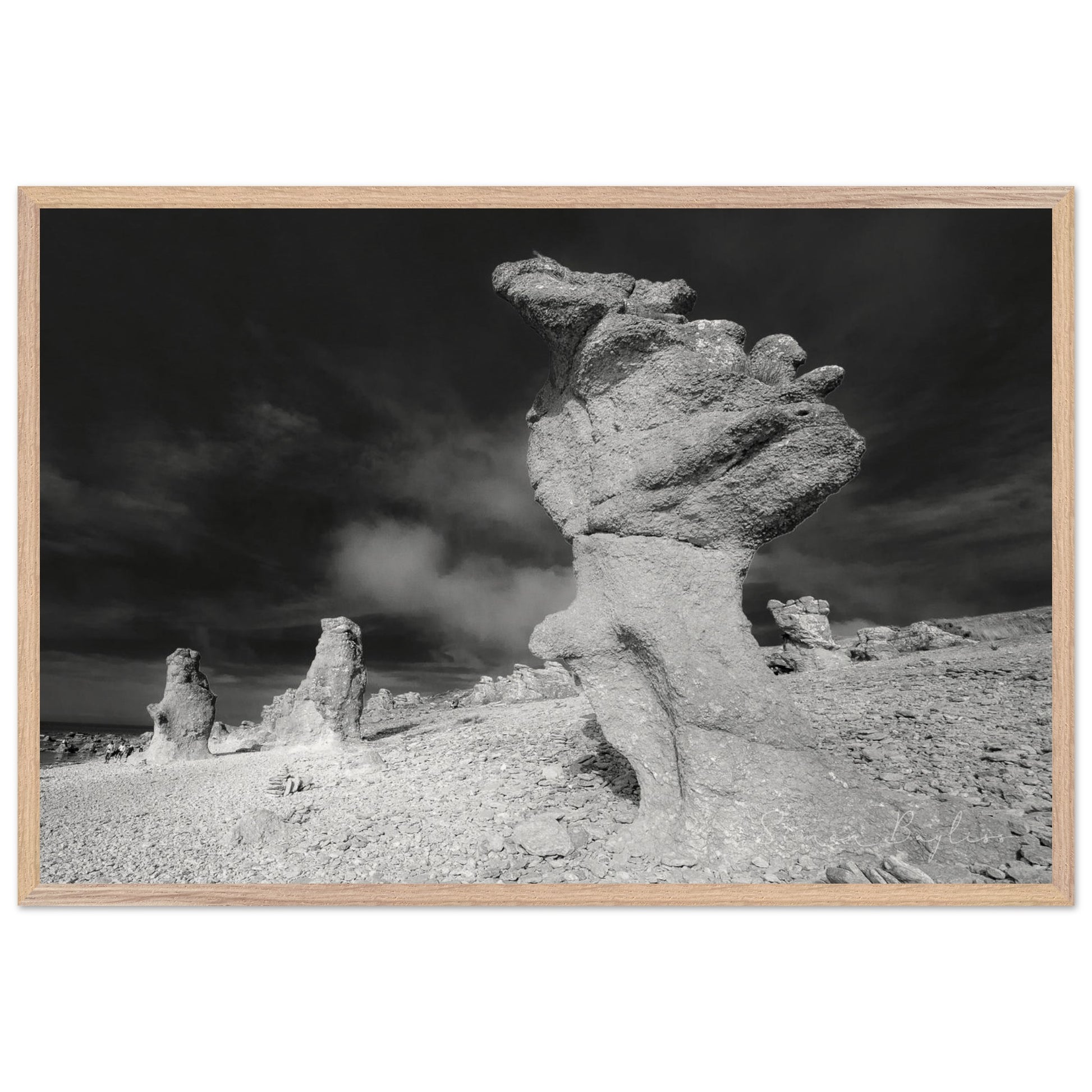 681ec55a-731a-46f9-8295-a7ab123f2150