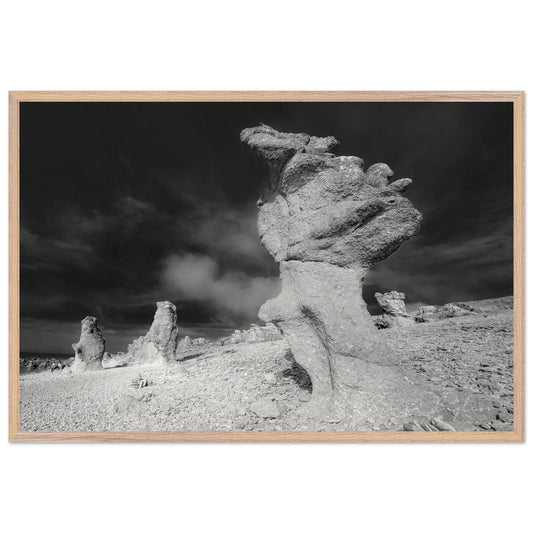 681ec55a-731a-46f9-8295-a7ab123f2150