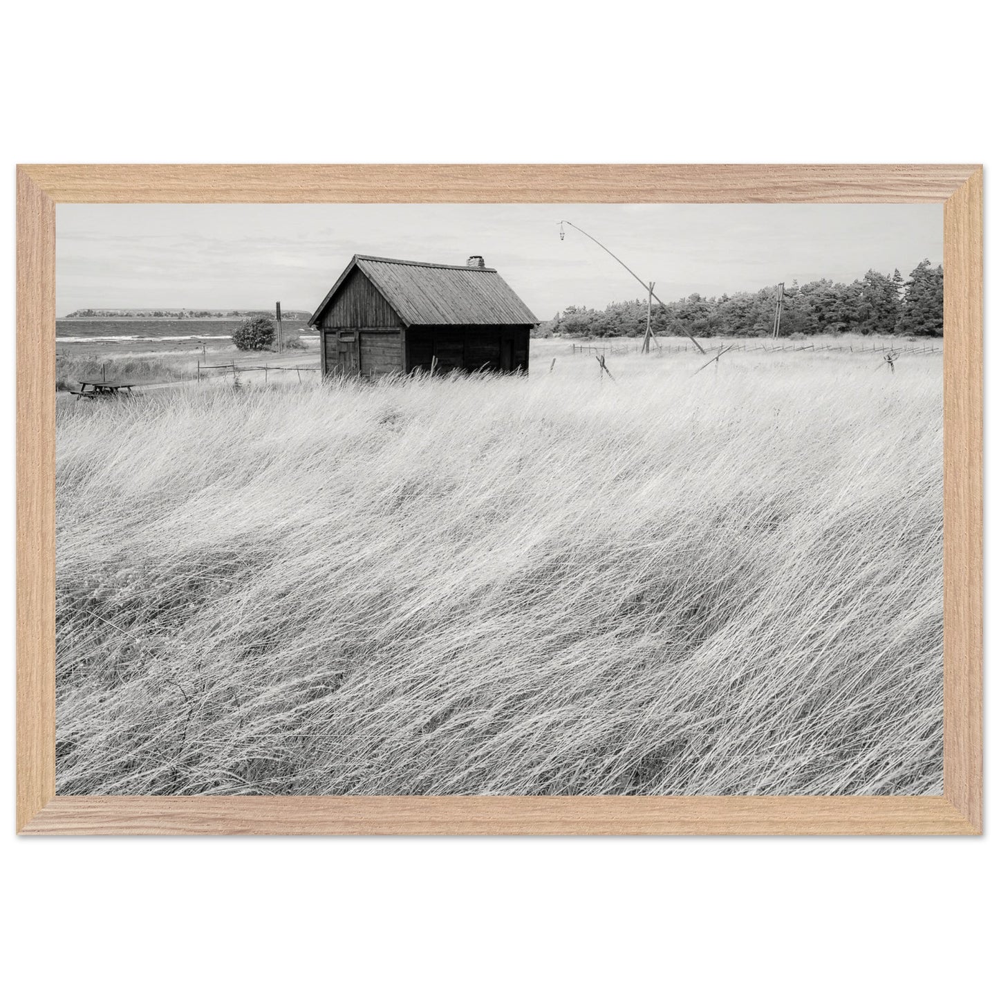 68cec051-3ec7-495c-aba1-6b29f25bc045