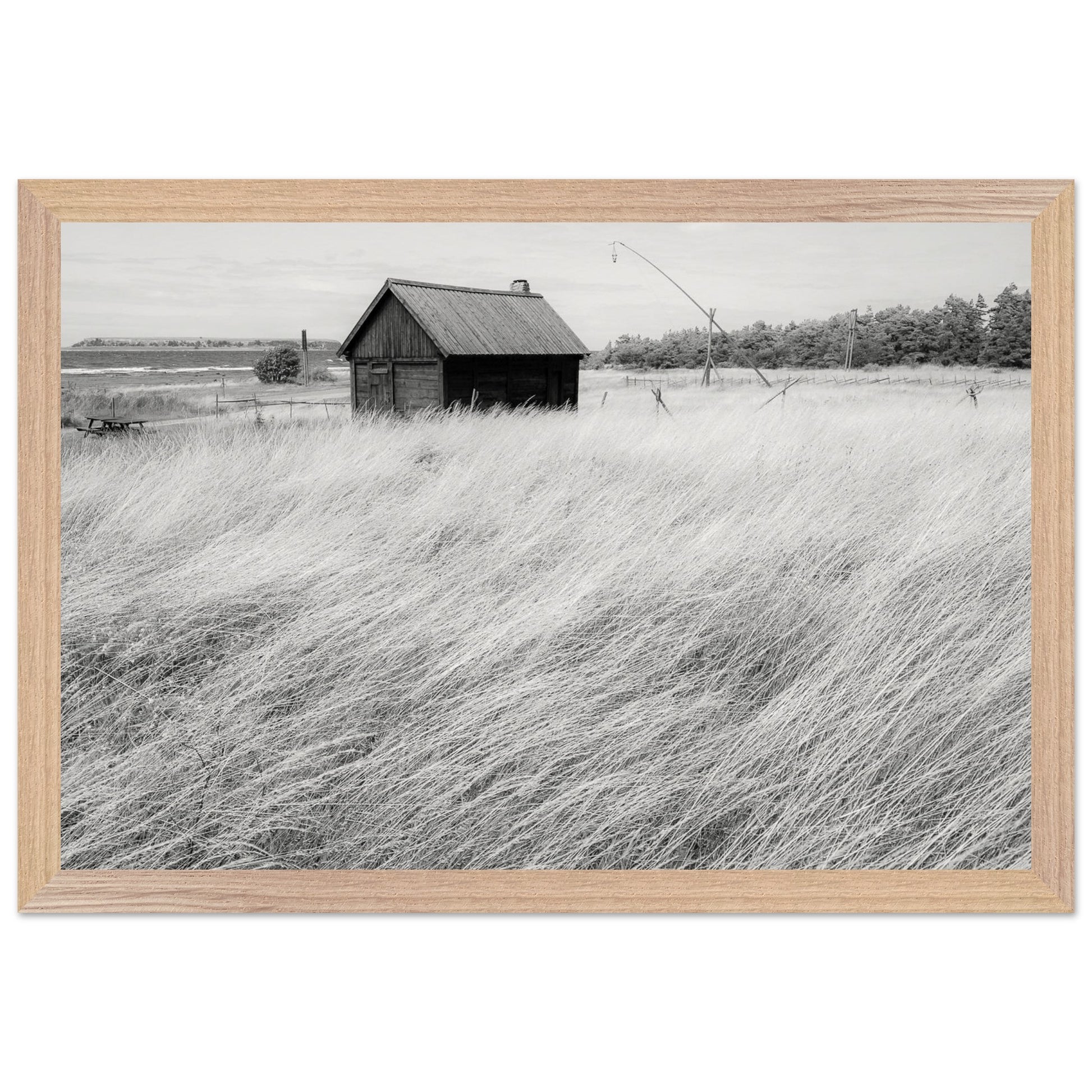 68cec051-3ec7-495c-aba1-6b29f25bc045