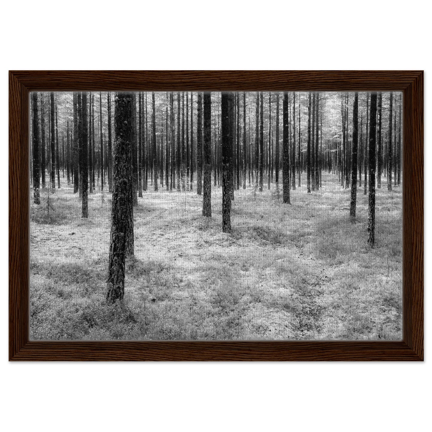 68d369dc-ef8e-440a-b6ce-9d640f6df441