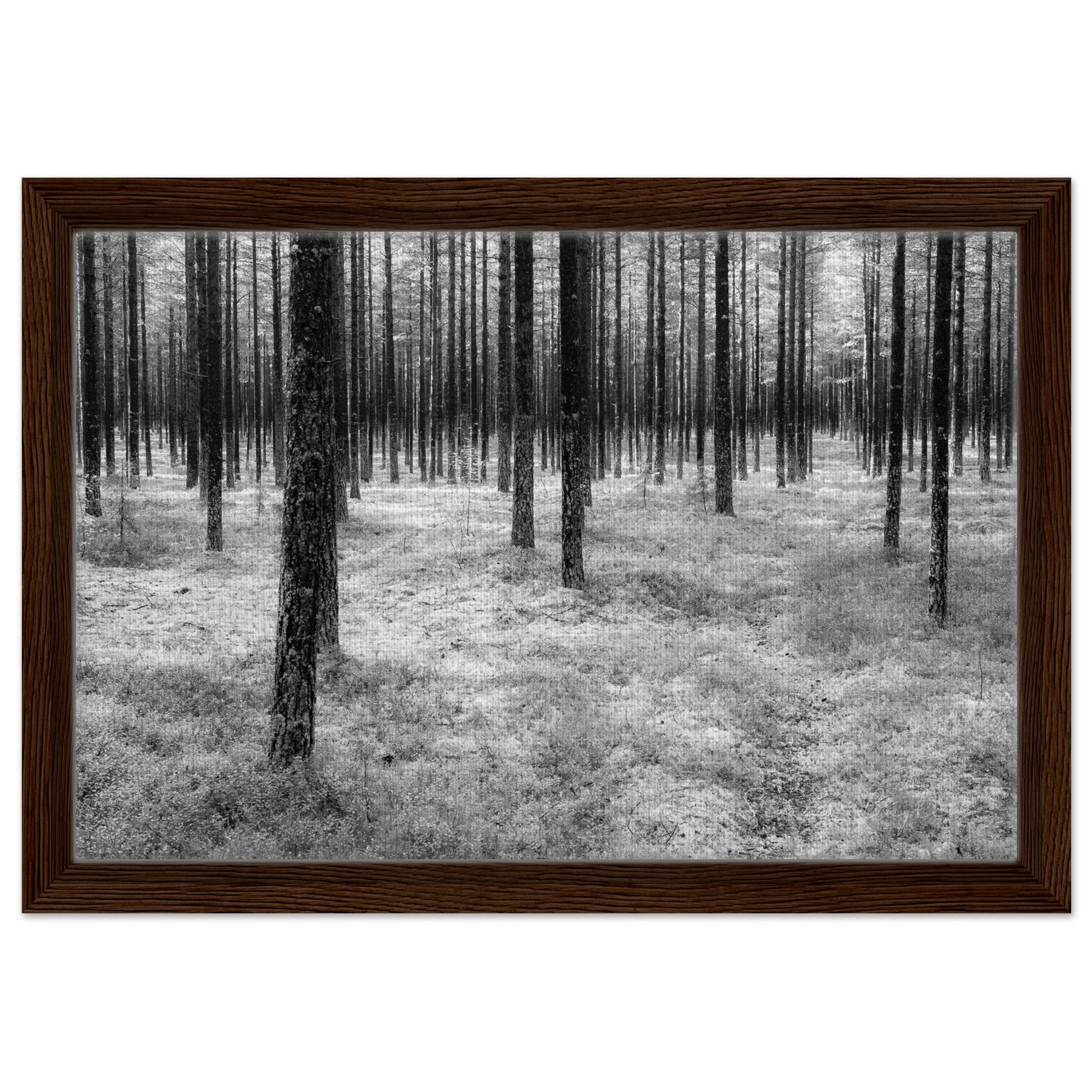 68d369dc-ef8e-440a-b6ce-9d640f6df441