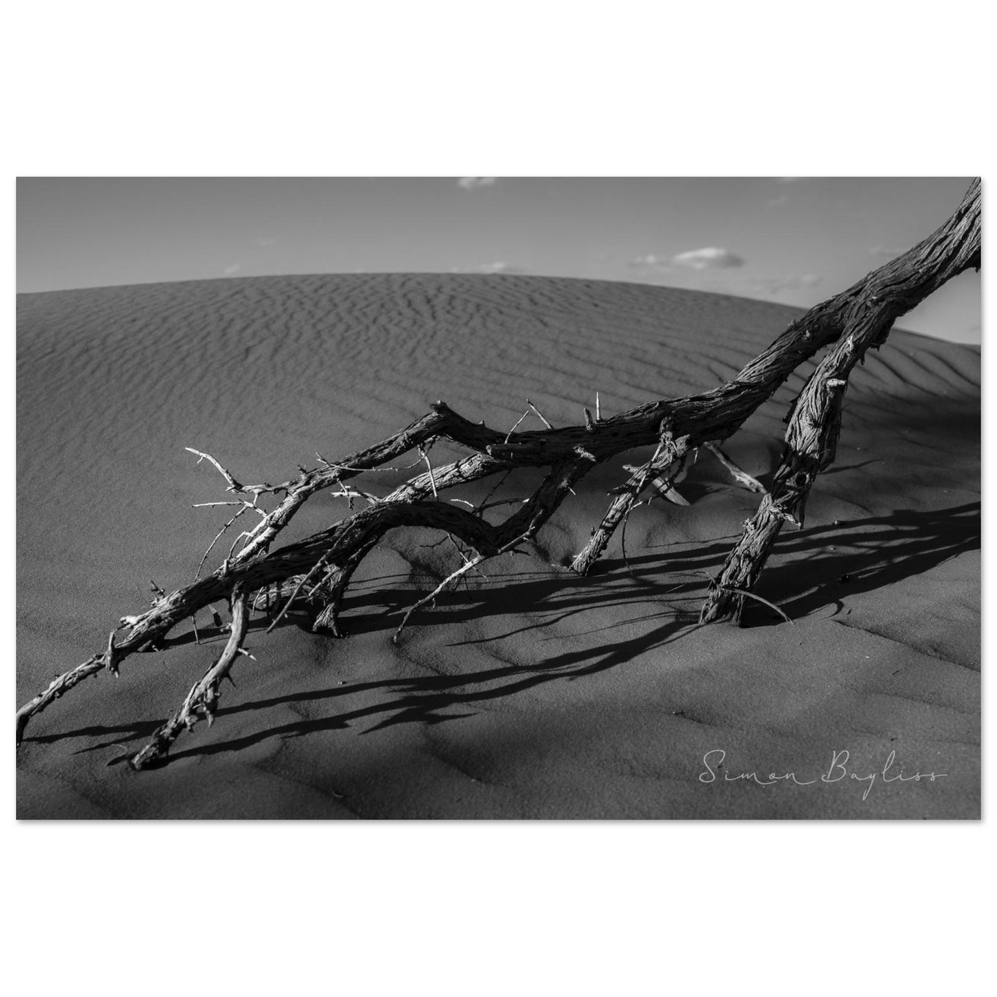 690db4d2-a105-4b8a-86f0-124ced207e1d