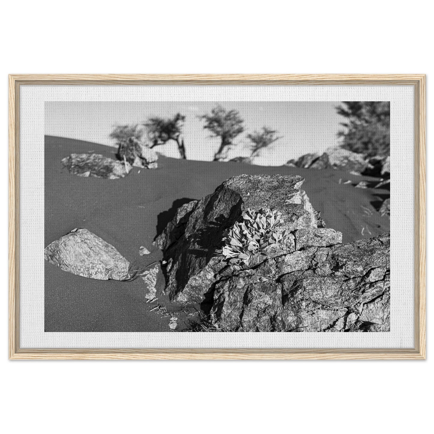 69597122-1bbe-49a6-b01d-ac6eb216fdc9