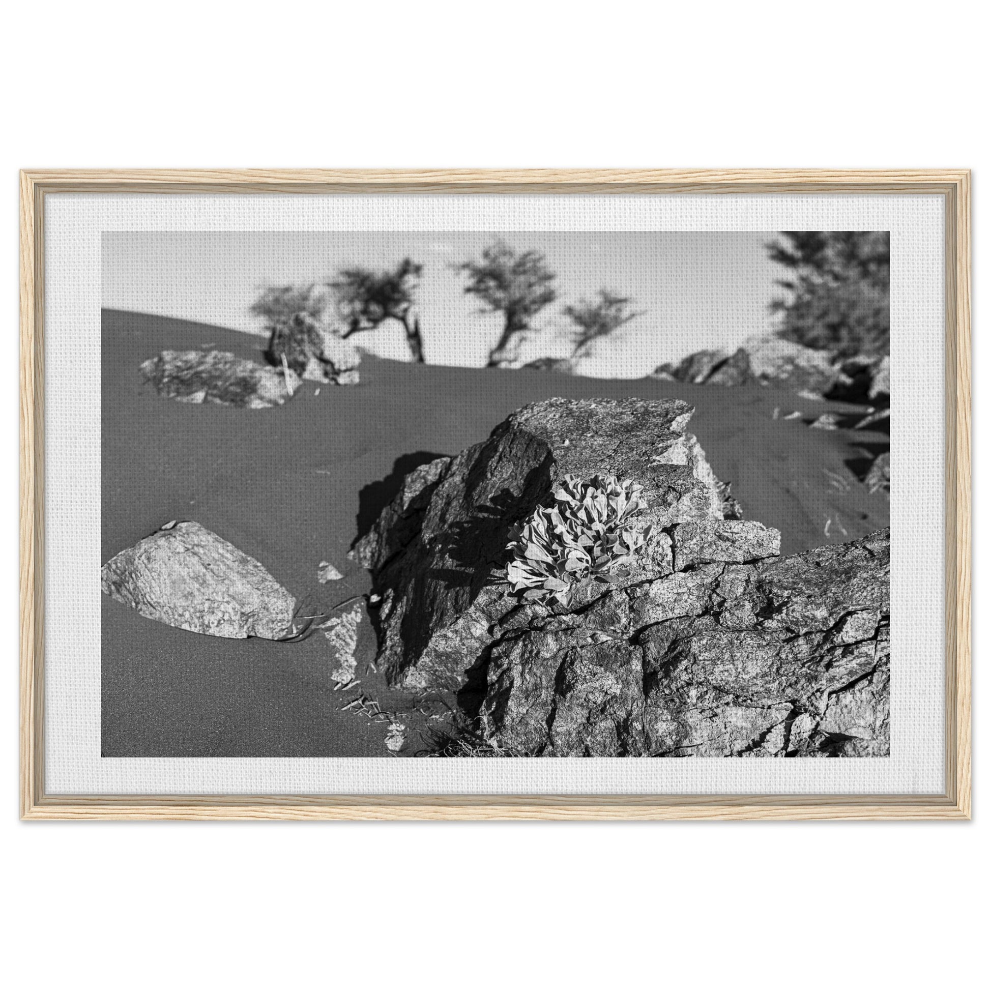 69597122-1bbe-49a6-b01d-ac6eb216fdc9