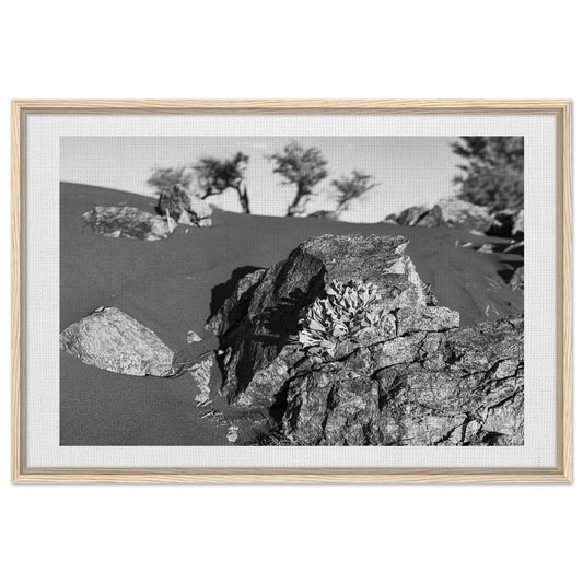 69597122-1bbe-49a6-b01d-ac6eb216fdc9