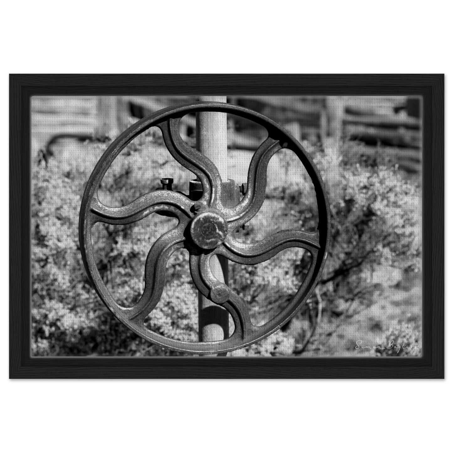 6a0a9aec-2b60-49dd-af46-e7f336db8fea