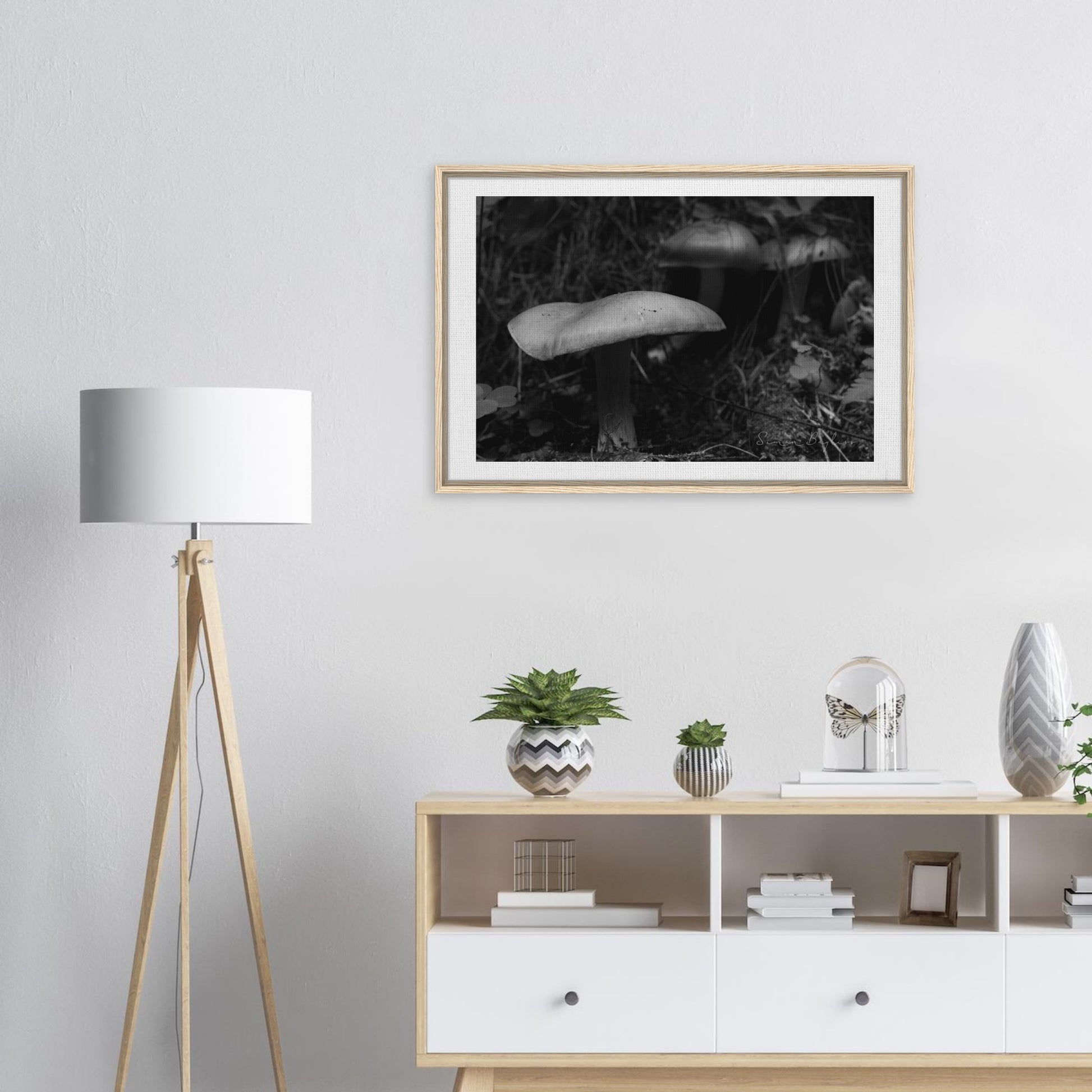 6a57fff2-4098-4bca-8a52-3a57b7bcacda