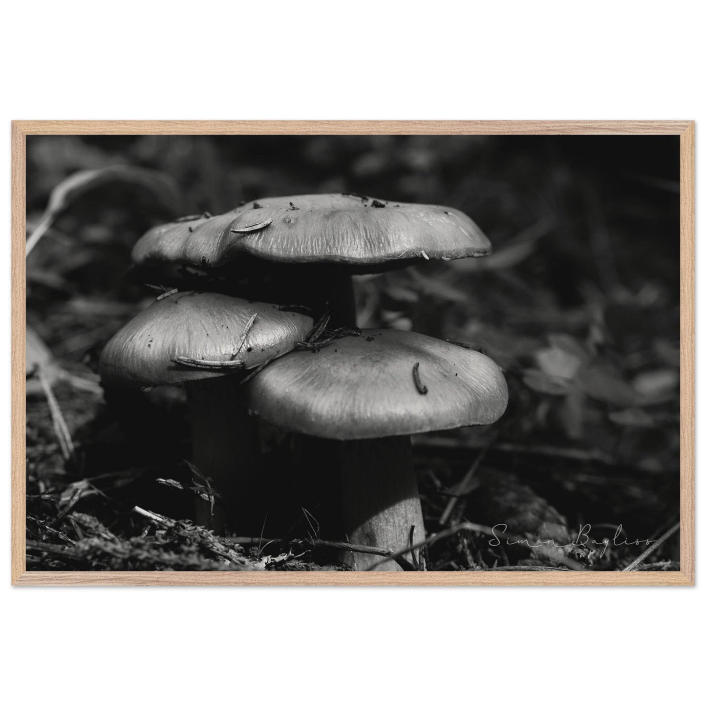 6a5a0683-63f7-4d3b-b0dc-4cb21bc9ab35