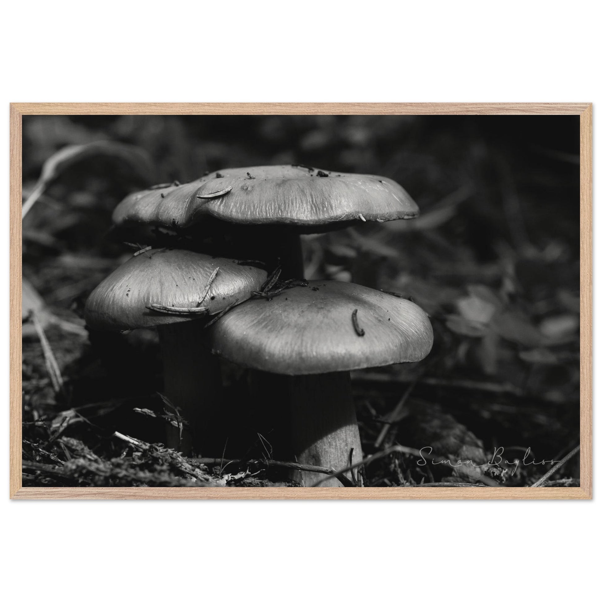 6a5a0683-63f7-4d3b-b0dc-4cb21bc9ab35