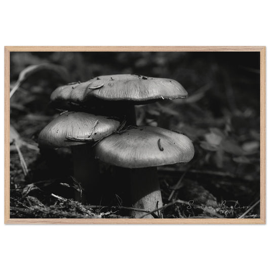 6a5a0683-63f7-4d3b-b0dc-4cb21bc9ab35